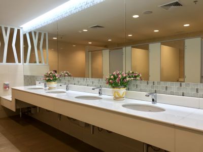 Modern Vanity Areas